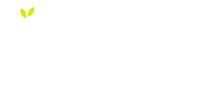 United Groups